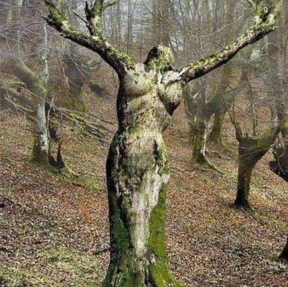 MEET YOUR POSHERINA - Picture 4 of 8